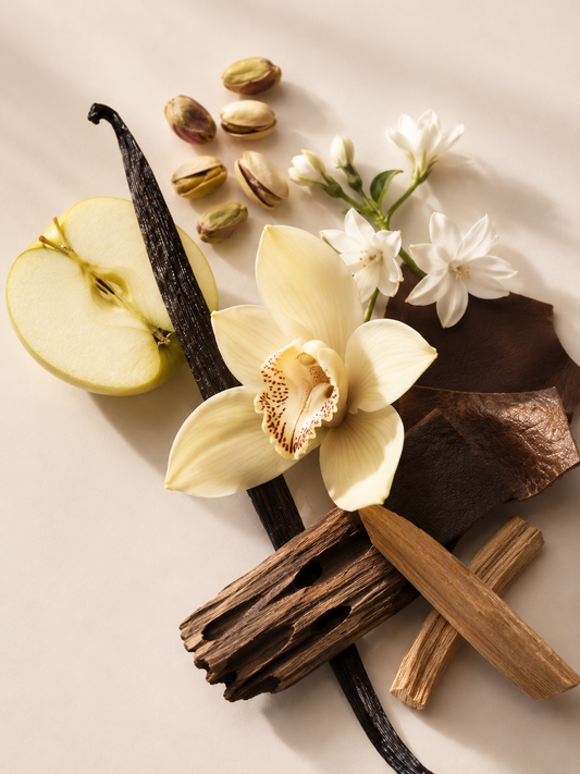 BLACK VANILLA & OUD BOUGIE PARFUMÉE