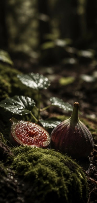 FIG &SANDALWOOD